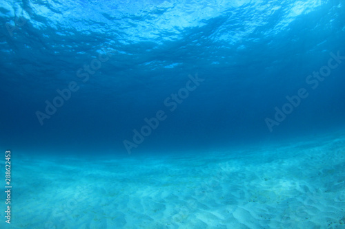 Underwater blue ocean background  © Richard Carey