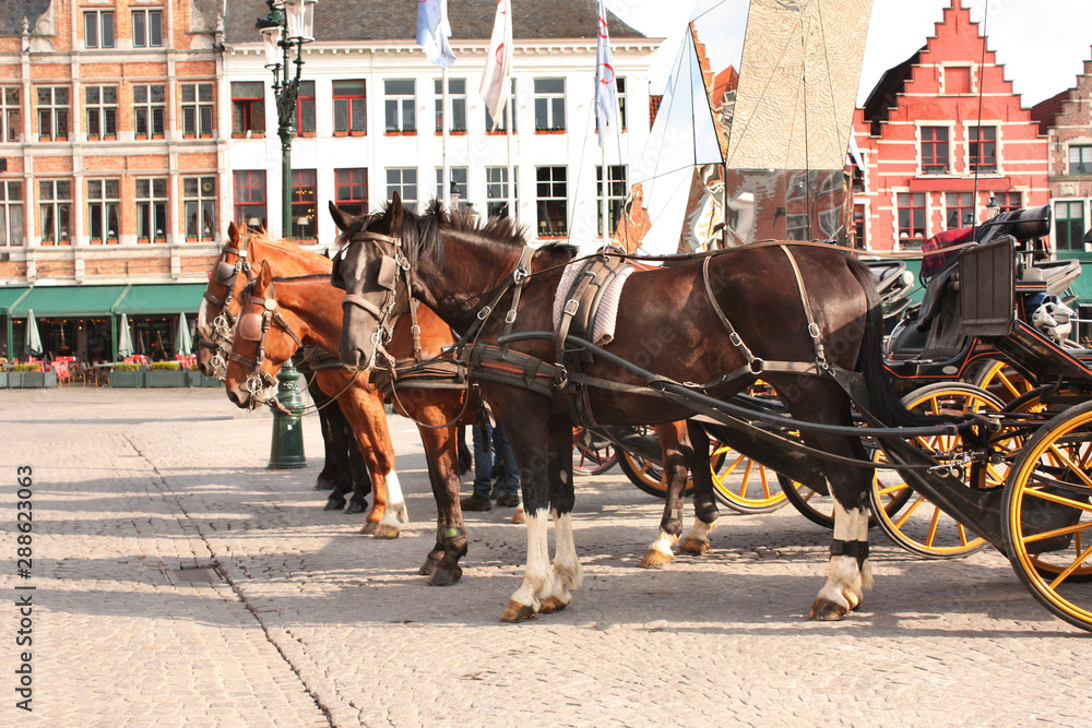 Old houses and horse carriages on Grote Markt square, Brugge, Belgium