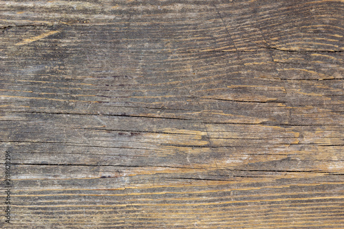 Rustic wood background texture. Closeup on wooden plank weathered.