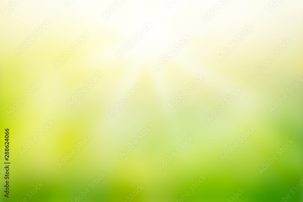 Sunlight with abstract blurred green nature background - obrazy, fototapety, plakaty 