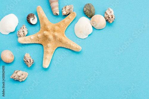 Blue sea background with copy space and seashell border, summer holiday and vacation concept