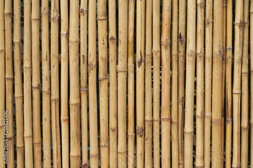 Bamboos wall texture for background.   