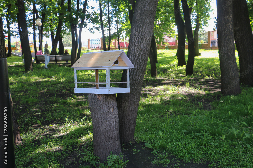 bird feeder house in Park garden bird feeder house in Park garden
