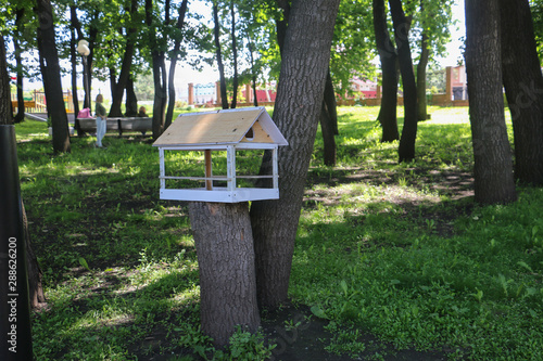 bird feeder house in Park garden