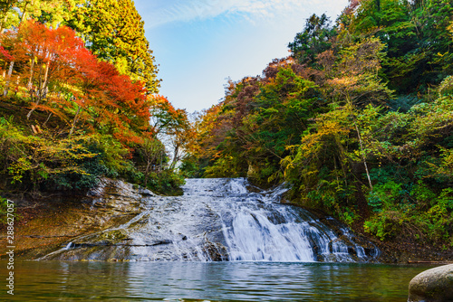 日本の秋のイメージ：首都圏を代表する紅葉の名所であり千葉のシンボルの養老渓谷の名瀑　粟又の滝の風景 photo