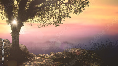 House for Adam and Eve: Tree of life in Eden garden on beautiful sunset background photo