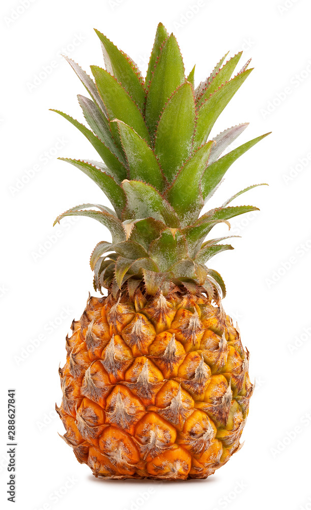 Fototapeta premium mini pineapple