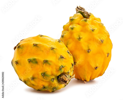 yellow dragonfruit pitahaya