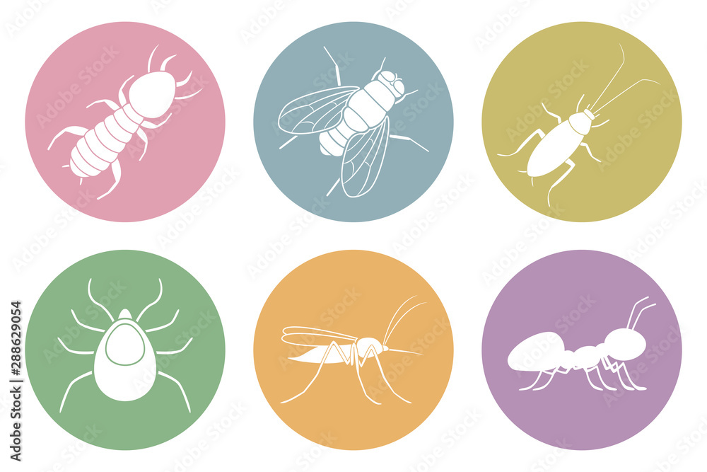 Set of household pest icons. Cockroach, termite, mosquito, fly, ant and tick. Vector.
