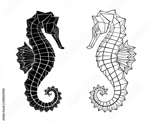 Polygonal seahorse