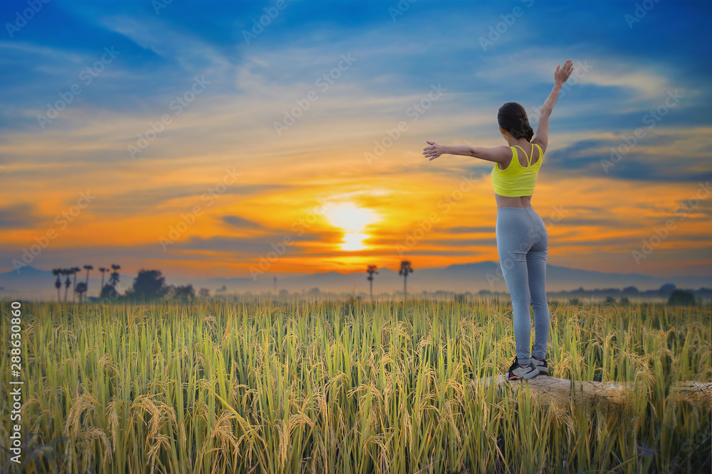 Beautiful woman standing with raised arms on rice field green grass. Beautiful woman standing with raised arms on rice field green grass.
