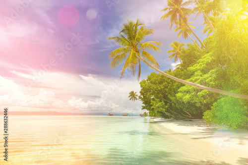 Fototapeta Naklejka Na Ścianę i Meble -  Idillyc background of tropical beach - calm ocean, palm trees, blue sky