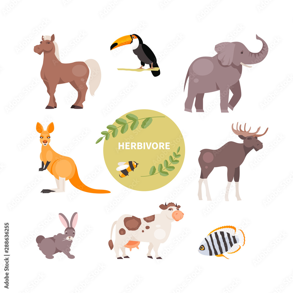 Obraz premium Herbivorous animals vector