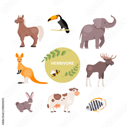 Herbivorous animals vector