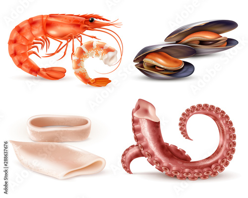 Seafood Realistic Set 