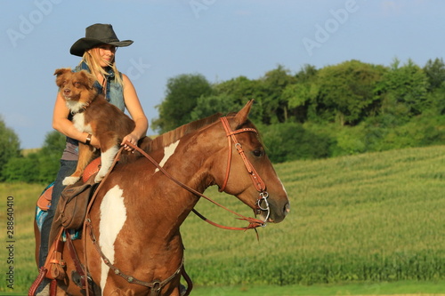 Cowgirl mit Pferd und Hund