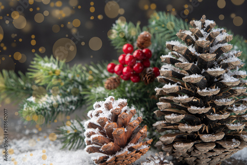 Christmas Decoration greeting card- Snowy Pine Cones On Fir Branch With Christmas Lights