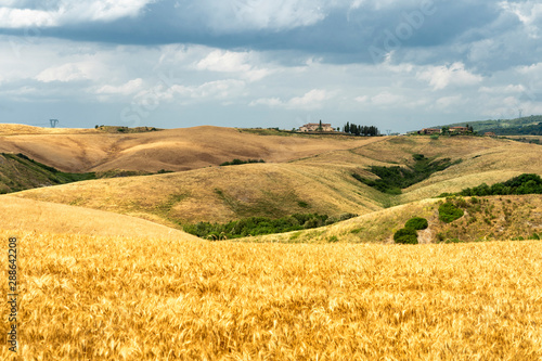 Summer landscape in Tuscany near Volterra photo