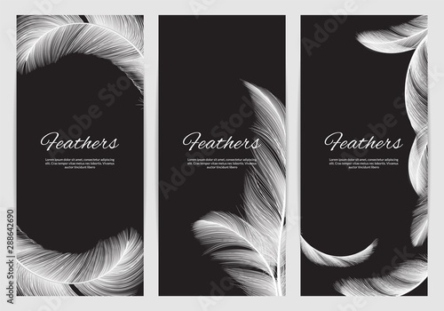 Feathers banners template. Realistic white swan falling feathers vector background. Promo banner and poster, lightweight realistic feather illustration