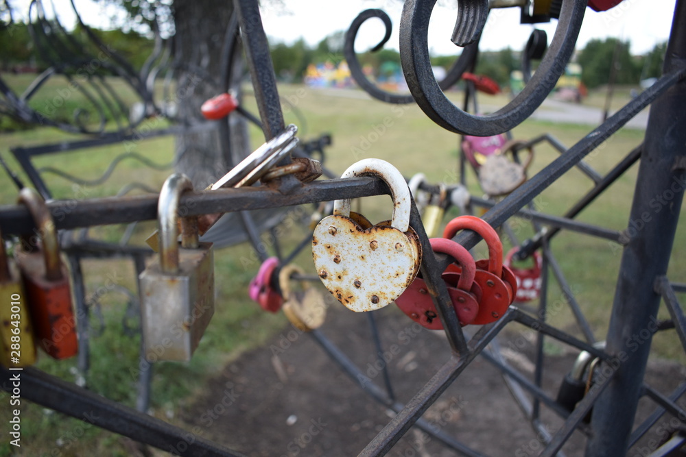 tree lovers with iron locks-a sign of love and loyalty