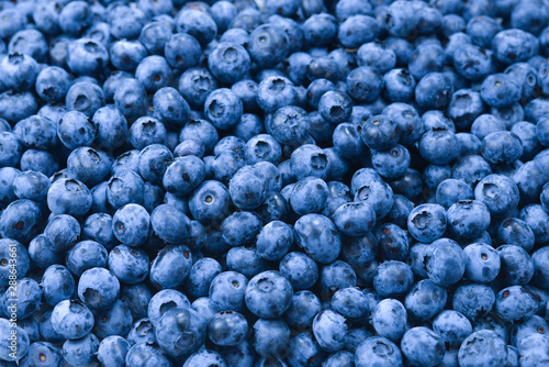 Fresh blueberry background. Texture blueberry berries close up.