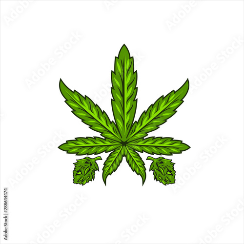 Cannabis marijuana leaf illustration design vector format
