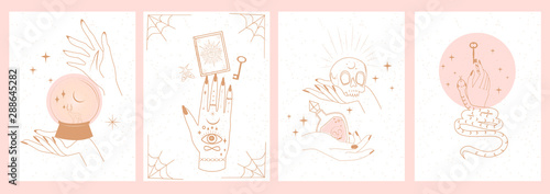 Collection of mystical and mysterious illustrations in hand drawn style. Skulls, animals, space objects, magic ball, crystals, hands. Minimalistic objects made in the style. 