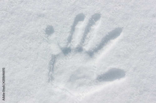 Human handprint in the snow
