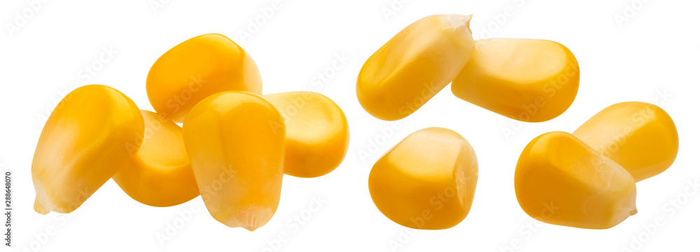 Fresh corn seeds isolated on white background with clipping path - obrazy, fototapety, plakaty 