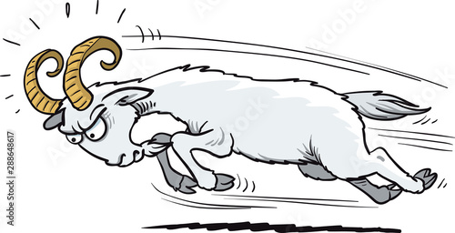 angry goat