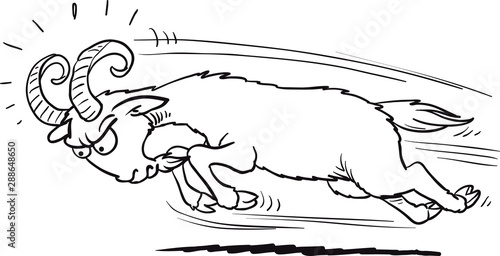 angry goat