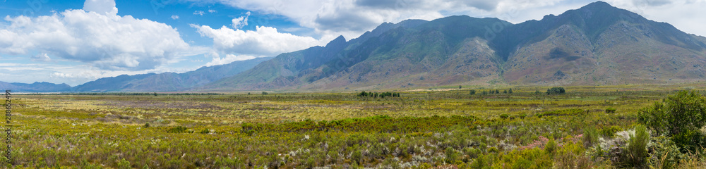 Fototapeta premium Beautiful grassland savannah landscape with mountains on the background