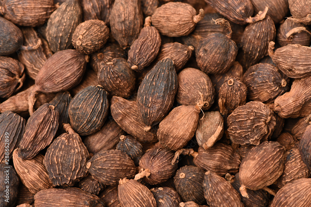 Black cardamom on a white background Black cardamom on a white background