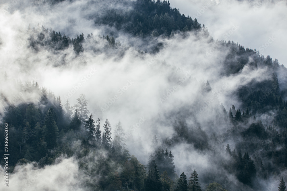 Dense morning fog in alpine landscape with fir trees and mountains. Dense morning fog in alpine landscape with fir trees and mountains.