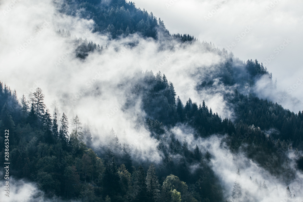 Dense morning fog in alpine landscape with fir trees and mountains. Dense morning fog in alpine landscape with fir trees and mountains.