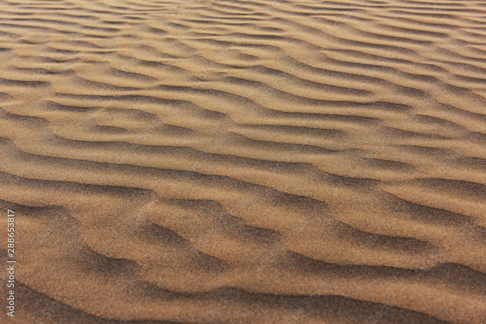 Beautiful clean sand dunes texture Beautiful clean sand dunes texture
