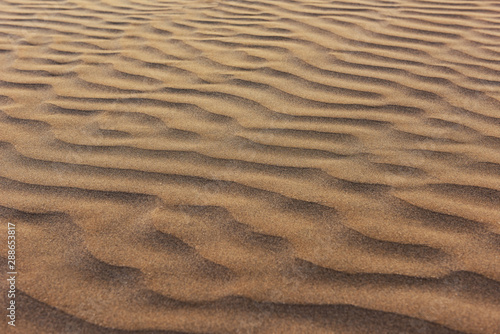 Beautiful clean sand dunes texture