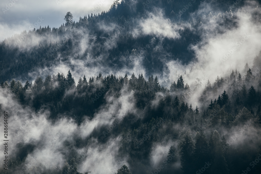 Dense morning fog in alpine landscape with fir trees and mountains. Dense morning fog in alpine landscape with fir trees and mountains.