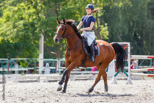 Slika na platnu Young female horse rider on equestrian sport event