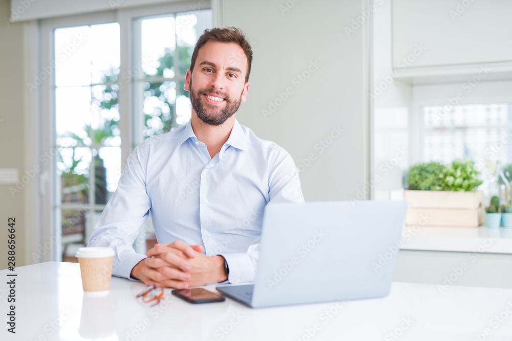 Handsome business man working using computer laptop and smiling Handsome business man working using computer laptop and smiling