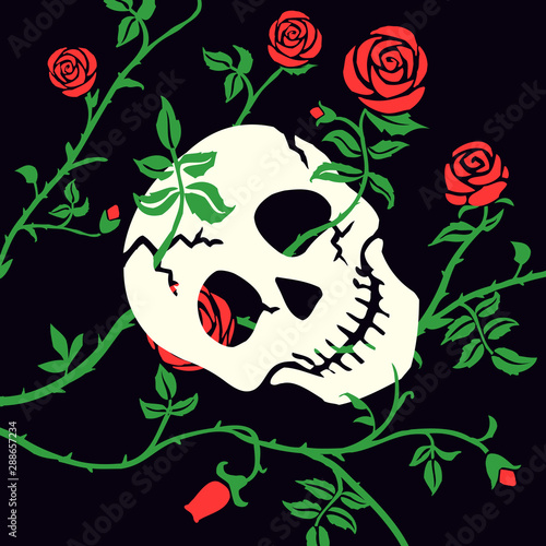 Gothic skull or cranium and rose on dark background. Floral black illustration with red climbing curly flower and thorn. Day of Dead, Dia de muertos or halloween holiday. Death's head, vector.