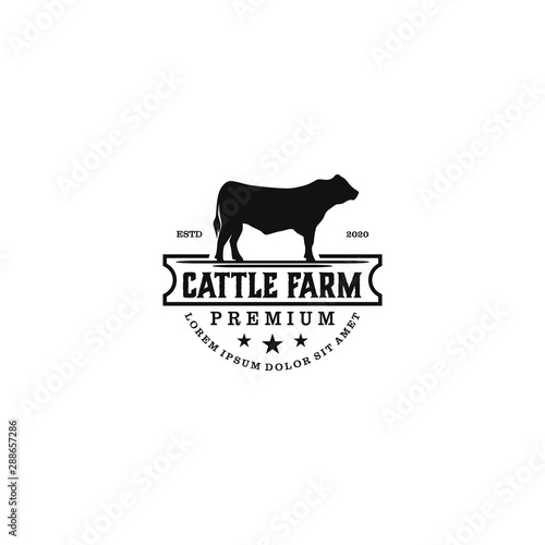 Cattle farm logo design - angus cow farm