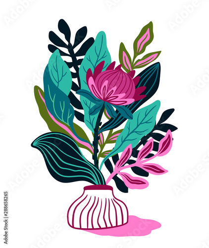 Protea with tropical leaf on the withe  background. Floral print design for t-shirt. Exotic flower in hand drawn style. Vector illustration.