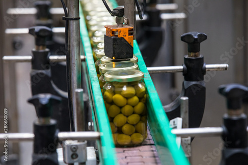 olives factory procedures