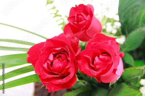 decorative bouquet of red natural roses with green a leaves