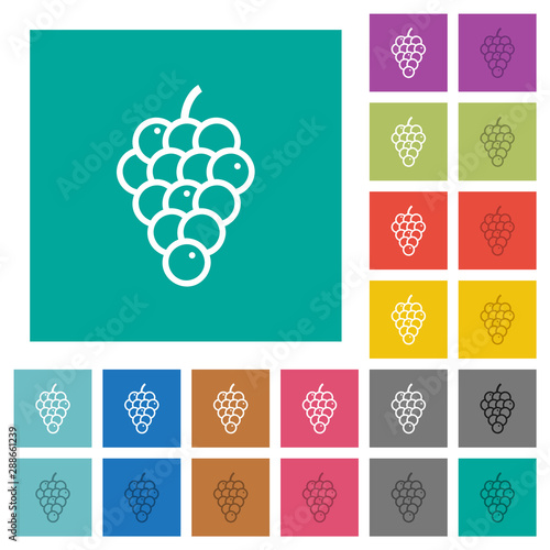 Grapes square flat multi colored icons
