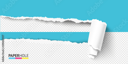 Vector half empty realistic torn paper piece curled. Scroll with rip hole edges and shadows on a halfed transparent background for a sale advert colorful banner revealing some message.