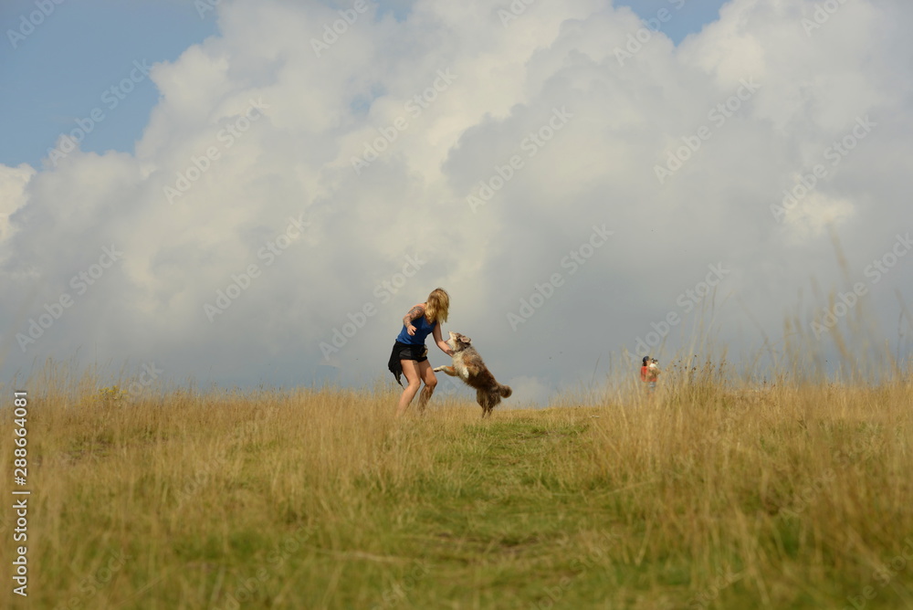 Spiel oder ernst. Junge Frau spielt mit Hund auf einem Berg Spiel oder ernst. Junge Frau spielt mit Hund auf einem Berg
