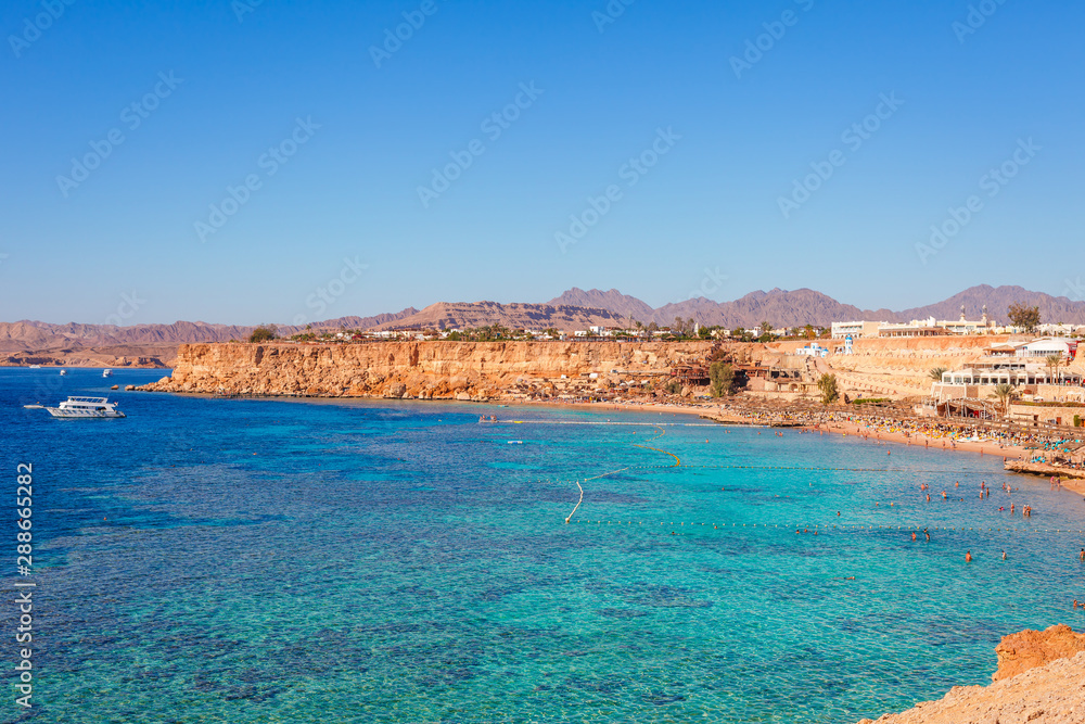 Sunny resort beach with palm tree at the coast of Red Sea in Sharm el Sheikh, Sinai, Egypt, Asia in summer hot. Сoral reef and crystal clear water. Famous tourist destination diving and snorkeling