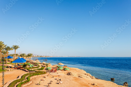 Fototapeta Naklejka Na Ścianę i Meble -  Sunny resort beach with palm tree at the coast of Red Sea in Sharm el Sheikh, Sinai, Egypt, Asia in summer hot. Сoral reef and crystal clear water. Famous tourist destination diving and snorkeling